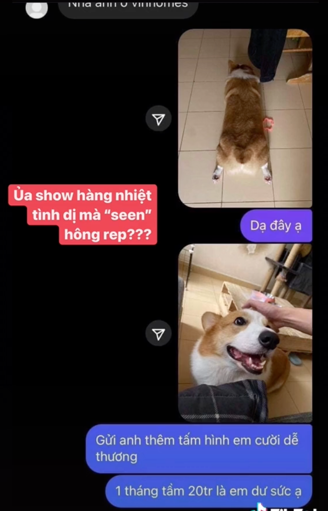 Đáp lại, Đoan Minh cũng không phải dạng vừa, cà khịa lại ngay: "Có tiền không mà đòi chu cấp 1 tháng 10 triệu?" và đòi tăng giá lên 20 triệu/tháng cho combo cả mẹ lẫn "con cưng" của mình.