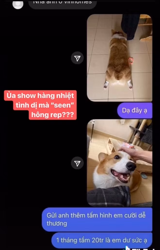 Đáp lại, Đoan Minh cũng không phải dạng vừa, cà khịa lại ngay: "Có tiền không mà đòi chu cấp 1 tháng 10 triệu?" và đòi tăng giá lên 20 triệu/tháng cho combo cả mẹ lẫn "con cưng" của mình.