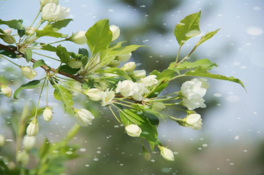 15 ngay toi, con giap co su nghiep on dinh, tinh duyen dom hoa ket trai