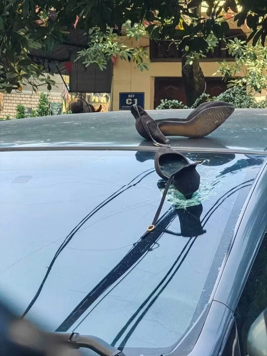 Theo đó, vì muốn chọn nơi mát mẻ để đậu xe, tài xế này đã đậu xe dưới sân chung cư rồi đi công việc. Nào ngờ khi quay lại, người này chỉ biết ngậm ngùi nhìn kính xe vỡ nát vì... đôi guốc.