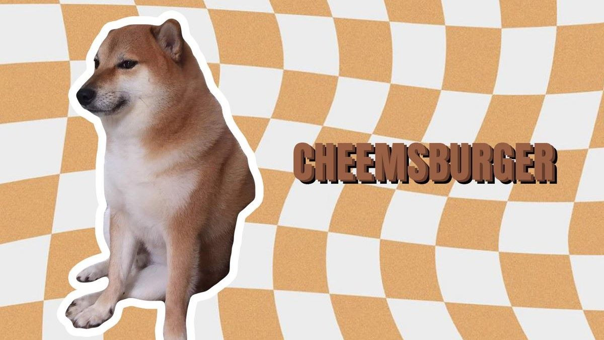 Cheems được 12 tuổi, thông tin chú chó nổi tiếng này qua đời khiến nhiều người yêu mến thú cưng nói chung và chú chó dễ thương này nói riêng không khỏi thương xót.