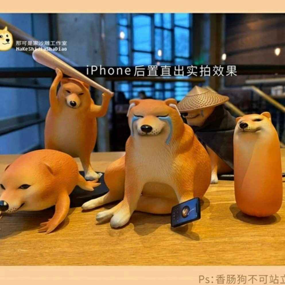 Cheems có tên thật là Kabosu nhưng thường được mọi người biết đến nhiều hơn với cái tên "Cheems".