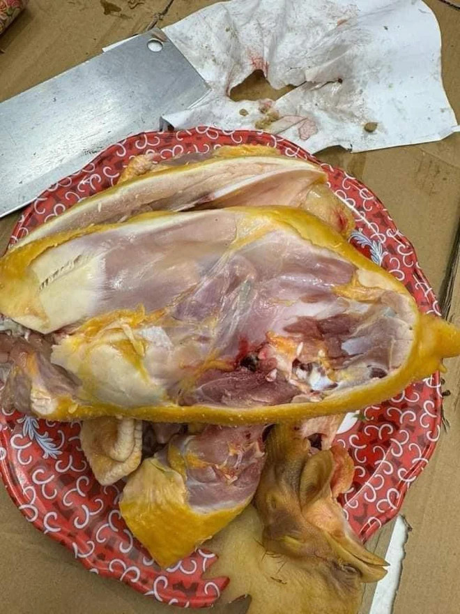 Theo đó, cô gái mua gà về cúng, thế nhưng sau khi cúng xong, chặt gà ra, cô gái mới phát hiện gà còn sống đến 98%.