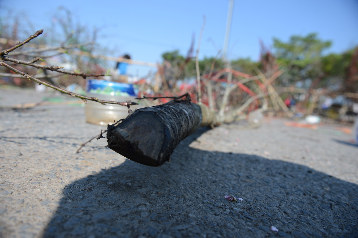 Trước cổng SVĐ Mỹ Đình, mặt đường Lê Đức Thọ nhiều cành đào rừng bị người bán vứt đi.