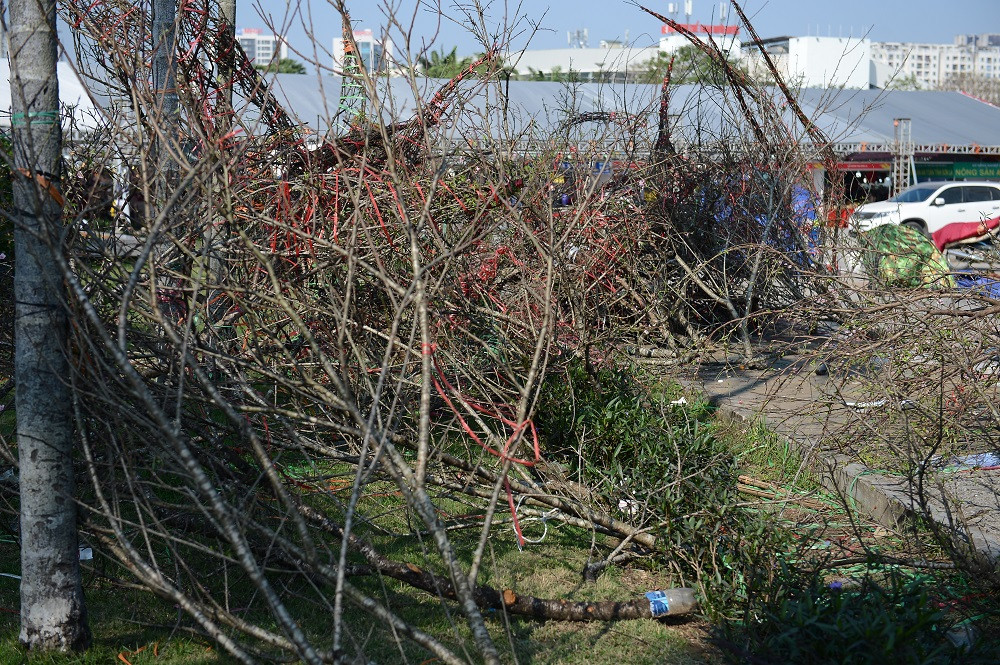 "Cả một đống của, đống công để nhập về bán nhưng gặp phải cảnh này nhìn mà tiếc đứt ruột. Chẳng dám hô giá cao mà vẫn chẳng có khách mua" - anh Bình chia sẻ thêm.