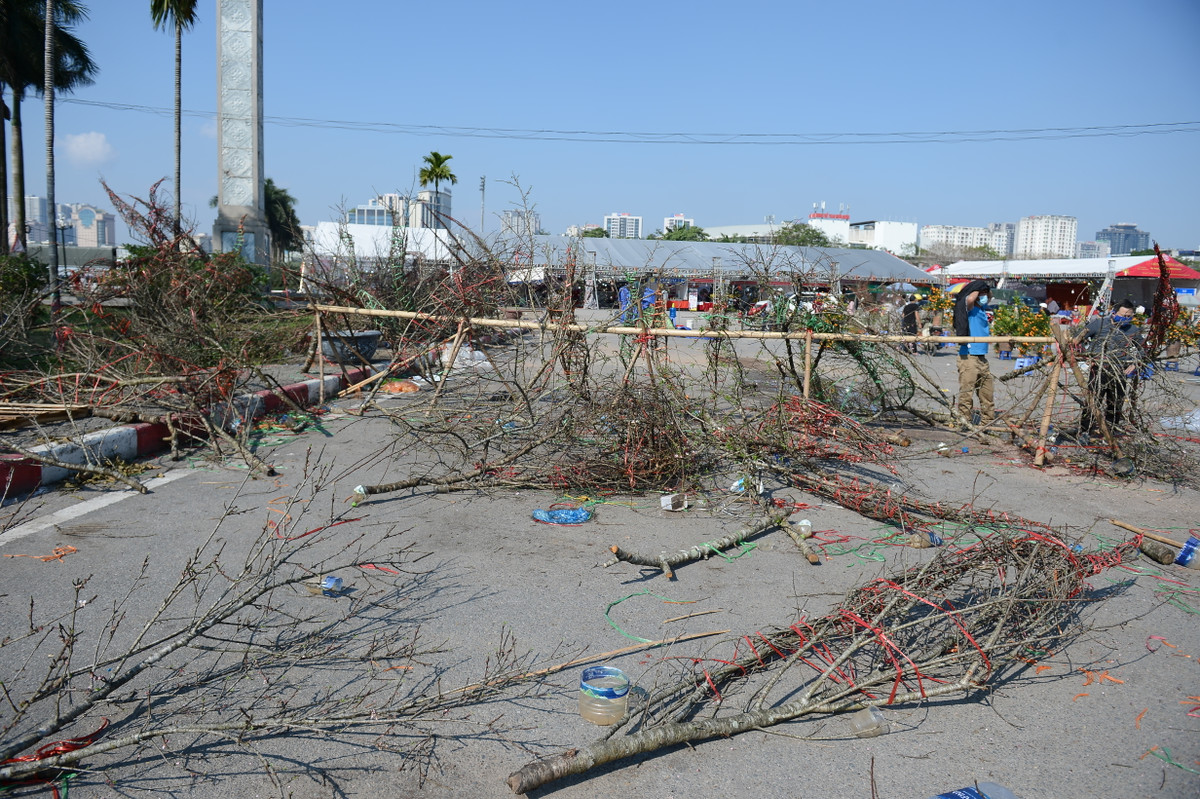 Những cành đào có tầm gửi sống ký sinh được ưa chuộng nhưng không có hoa cũng bị vứt bỏ.