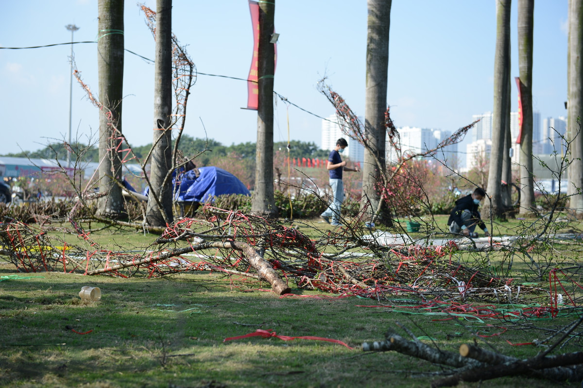 Nhiều người bán buôn cũng chán nản cảnh ế ẩm mà thu dọn lều bạt mà đi về chuẩn bị đón Tết.