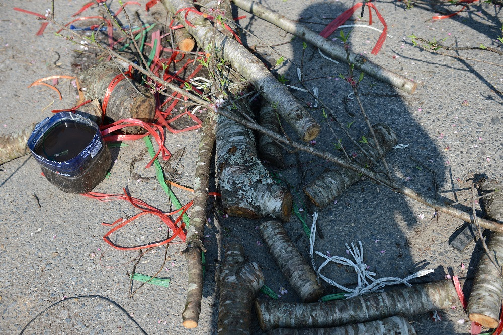 Những thân cây đào được chặt nhỏ thành từng khúc và vứt ngổn ngang bên vệ đường.