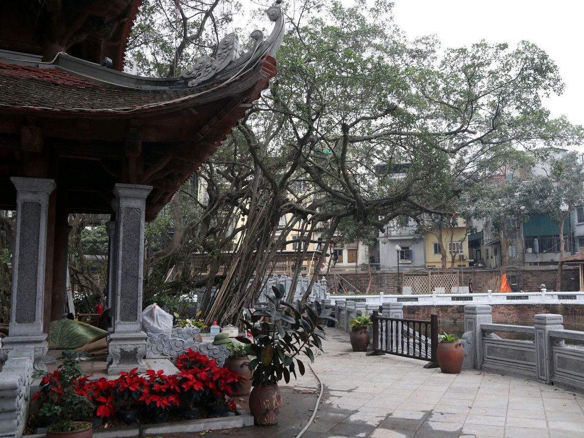 Hội chữ là hoạt động thường niên vừa tôn vinh giá trị văn hóa, lịch sử, tri thức qua 100 tác phẩm thư pháp Hán Nôm, Quốc ngữ, vừa là không gian lễ hội vui tươi và an toàn.