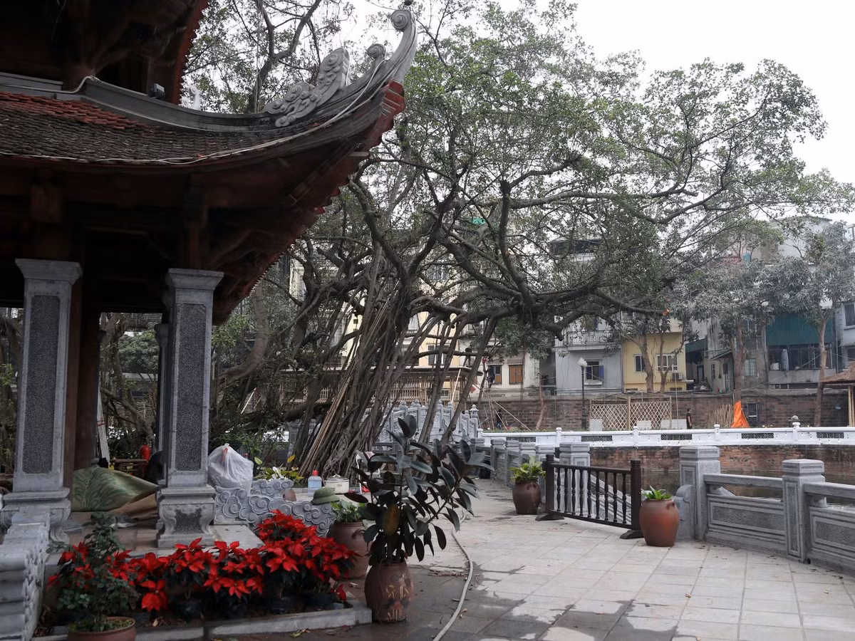 Hội chữ là hoạt động thường niên vừa tôn vinh giá trị văn hóa, lịch sử, tri thức qua 100 tác phẩm thư pháp Hán Nôm, Quốc ngữ, vừa là không gian lễ hội vui tươi và an toàn.