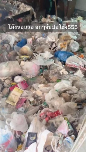 Cạnh đó là một chiếc giường chất đống thức ăn thừa, bát đĩa nhựa, chai nhựa, có lọ thuốc diệt côn trùng giấu loanh quanh, và góc giường sạch sẽ nhất, có gối và mền, điều khiển từ xa được đặt gần đó, đoán chừng đó là nơi chủ nhà thường nằm ăn uống và xem tivi.