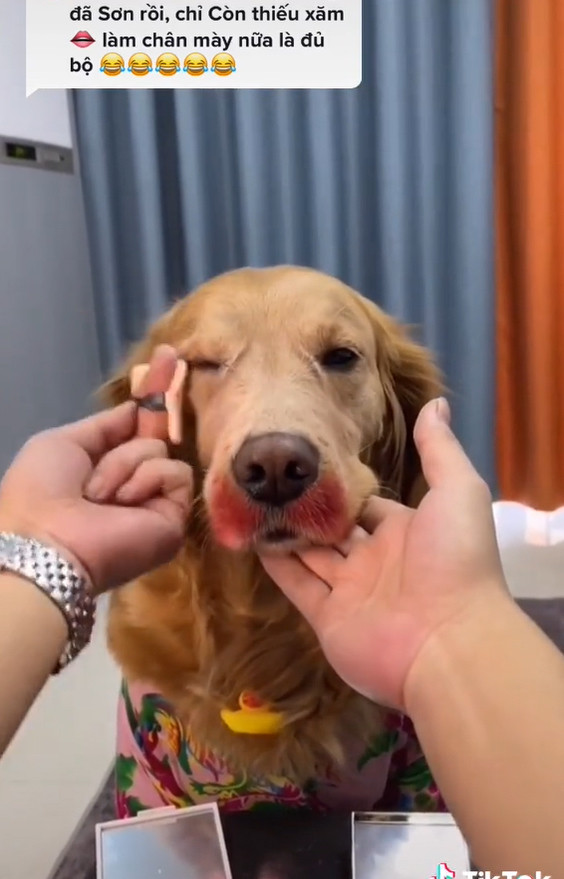 Cô nàng chăm chút y hệt công đoạn bình thường làm trên người.