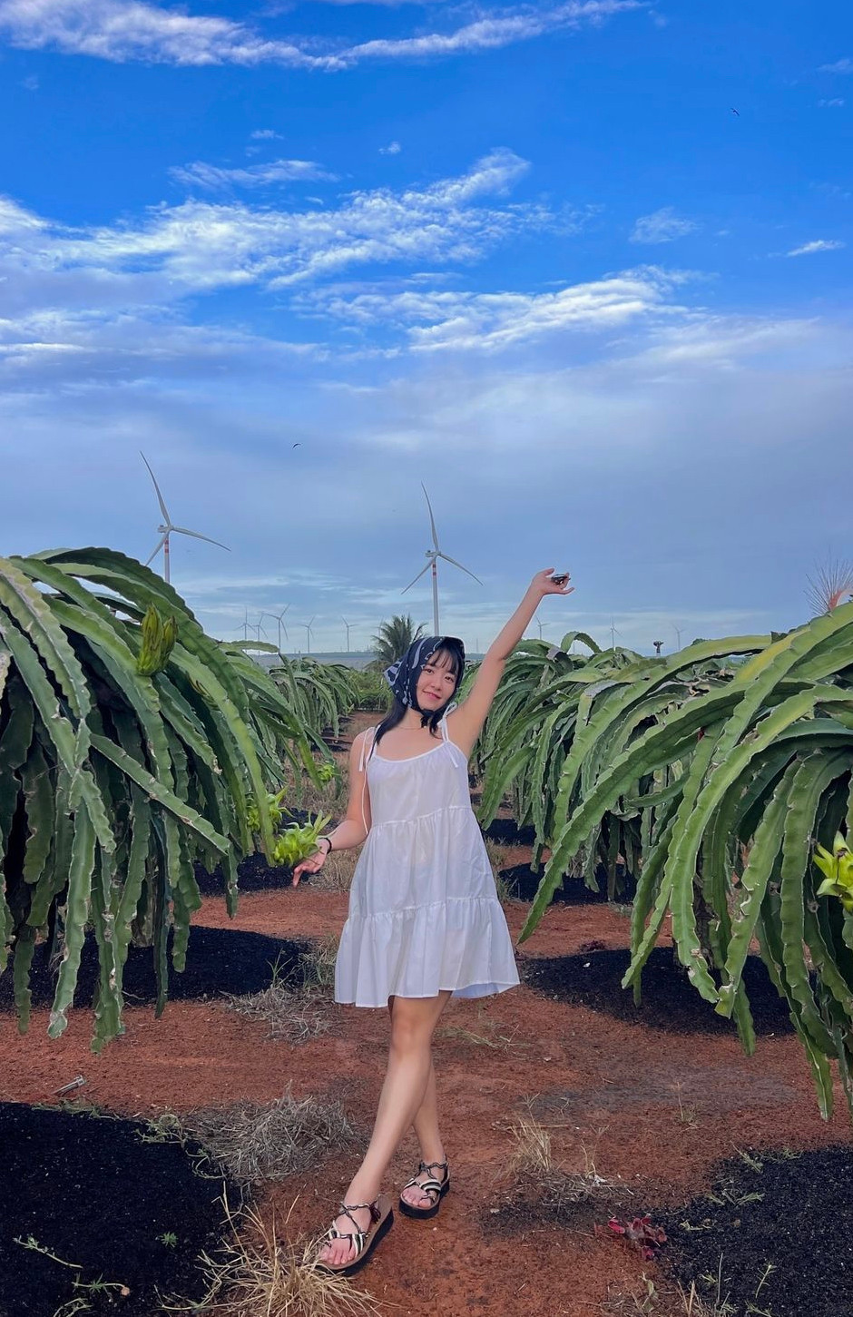 Nội dung được đăng tải nhiều nhất trên kênh Sintto là về du lịch, đặc biệt các chuyến camping nhận được nhiều lượt xem.