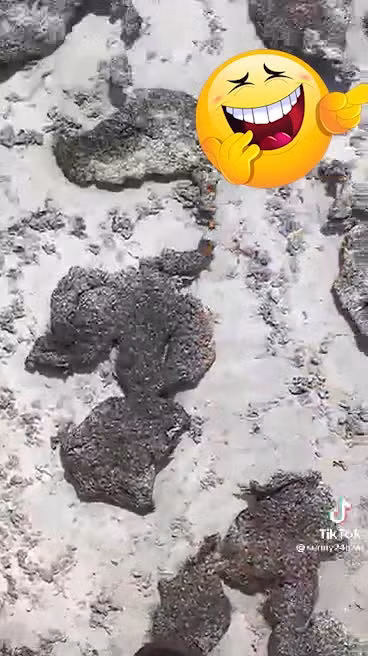 Mặc dù không phải nuôi các loại cá quý hiếm song nhìn thứ yêu thích của mình không còn, người bố tỏ ra vô cùng hụt hẫng. Rất nhiều người xem cũng bày tỏ sự đồng cảm với ông bố trước thời tiết nắng nóng hiện nay.