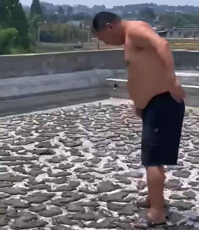 Kết quả là vừa mở cửa sân thượng ra thì cảnh tượng khó tin diễn ra ngay trước mắt. Ao cá đã hoàn toàn cạn nước, chỉ còn lại những mảnh vải, mảng bùn nứt và đàn cá đều đã biến thành cá khô.