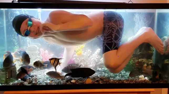 Chẳng hiểu vì nóng quá hay sao mà anh chàng này vào bể cá tại gia để bơi.
