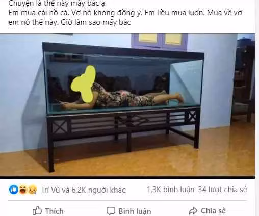 Khi các bà vợ phản đối thú vui nuôi cá cảnh của chồng.