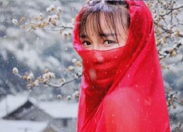 Là người đi đầu xu hướng quay cảnh đồng quê nên Lý Tử Thất trở thành một cái tên có sức ảnh hưởng vô cùng lớn trên mạng xã hội. Cô thậm chí còn ra thương hiệu sản phẩm mang tên của chính mình.