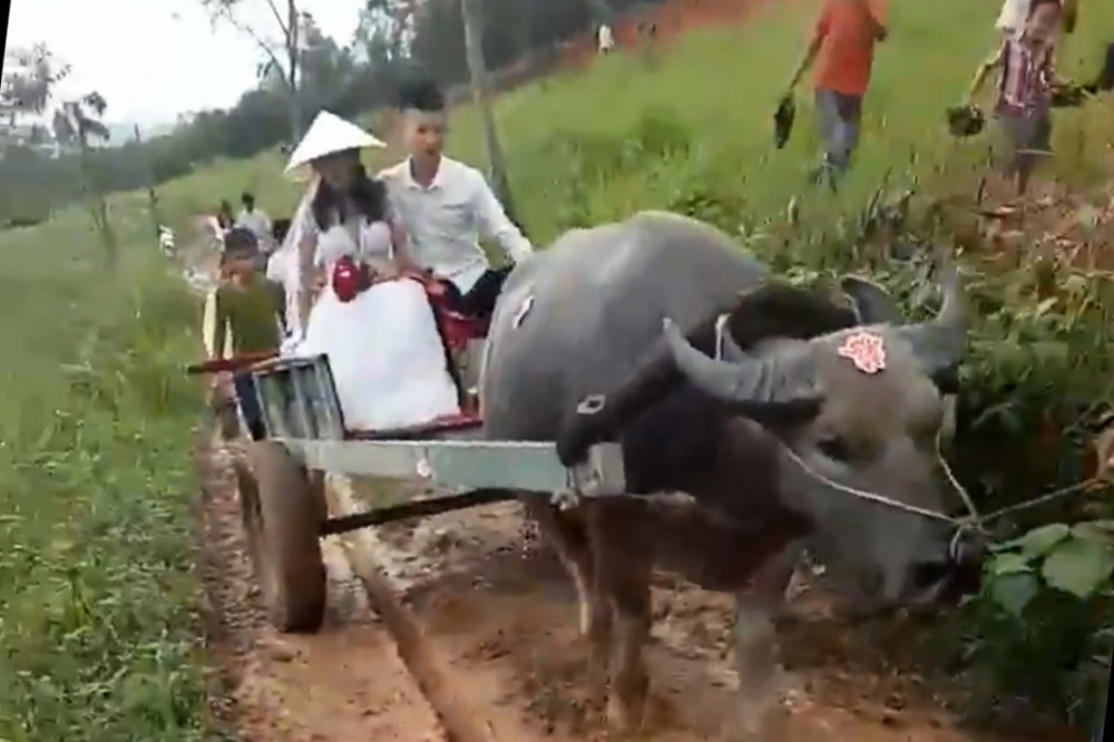 Mỗi lần xuất hiện, những chiếc xe đón dâu bá đạo này đều trở thành tâm điểm bình luận của dân mạng.