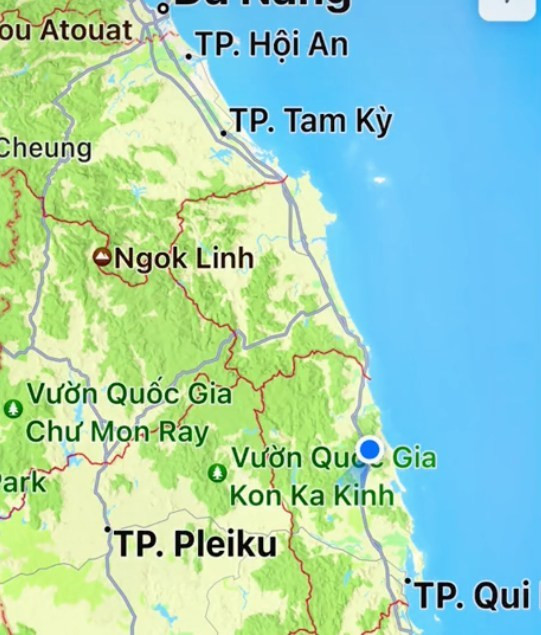 Cụ thể, theo lời chia sẻ của chủ clip, vì kỳ nghỉ lễ Quốc khánh 2/9 năm nay được nghỉ khá dài nên cô quyết định đưa mèo về quê.