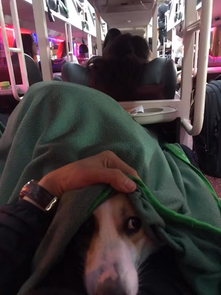 Một số bình luận cũng khuyên cô gái nên hỏi từ trước, sau đó chọn phương tiện phù hợp, như vậy mới không bị đuổi xuống giữa đường, cũng tránh mất tiền thêm vì bắt taxi.