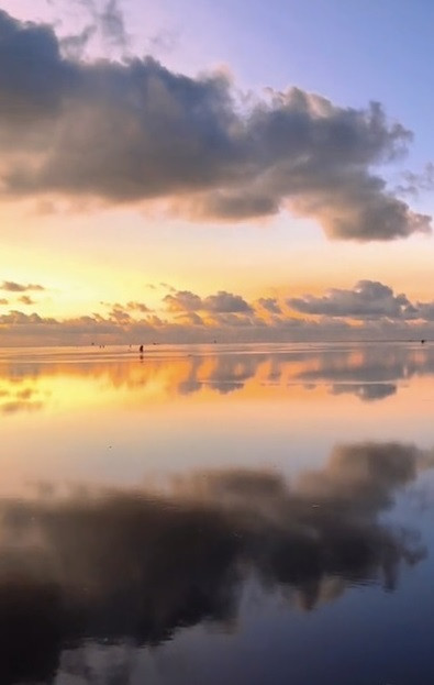 Trời càng sáng thì cảnh vật hiện ra càng rõ, đẹp cực kì, không uổng công phải lội nước, lội bùn. Ngồi góc nào chụp ảnh lên cũng rất ‘ảo’, bóng của trời phản chiếu xuống nước đẹp như bức tranh. Không nghĩ rằng ở Việt Nam mình có nơi đẹp như thế này". Chủ clip nói thêm.