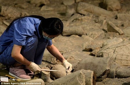 Tan Thuy Hoang dung ca “chien binh ngoai” de thong nhat Trung Hoa?-Hinh-2