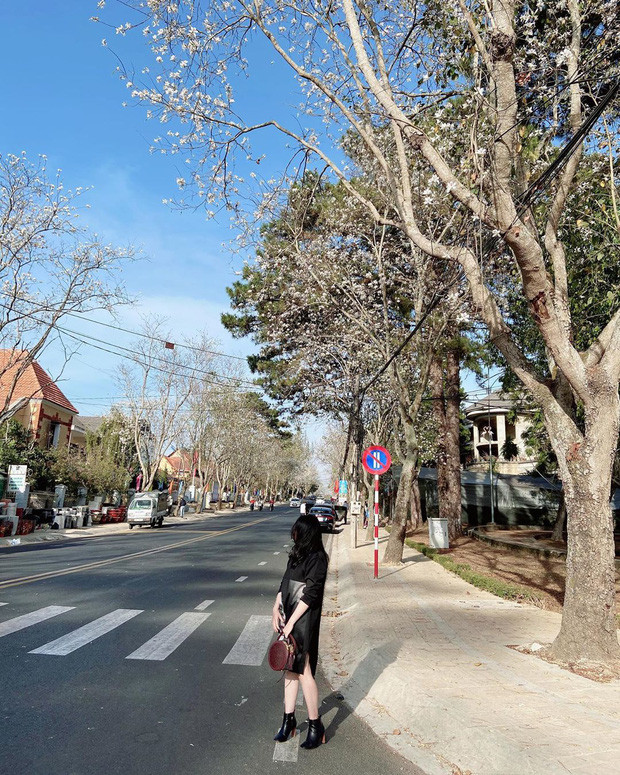 Cũng giống như nhiều điểm đến khác, du lịch Đà Lạt mùa dịch Covid-19 cũng trở nên vắng vẻ hơn bao giờ hết dù trước đó, đây là thời điểm thích hợp để cho những bạn trẻ ưa sống ảo nhưng ngại cảnh đông đúc.