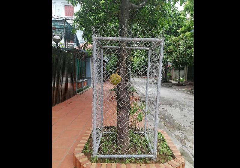 Điển hình như nickname P.H.D có viết: "Nể thật, ông chủ vườn có quả IQ vô cực khi nghĩ ra cách bảo vệ cây quá bá đạo. Nhìn thôi là thấy hoảng rồi bỏ luôn ý định ăn trộm".