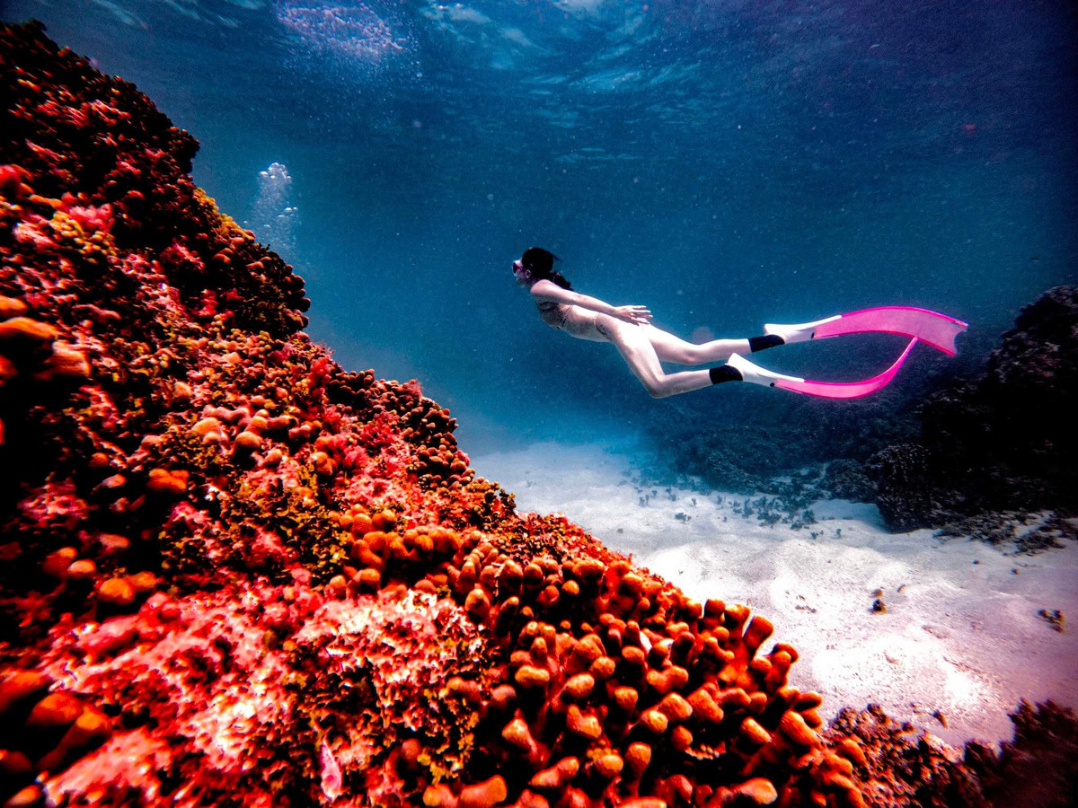 Xem những bức ảnh lặn biển của Thùy Anh, nhiều người cũng khá tò mò về môn thể thao này.