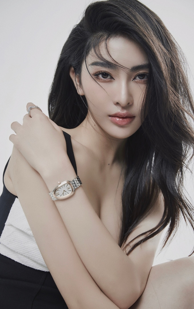 Chia sẻ về cơ duyên đến với nghề mẫu ảnh, Diệu Linh cho biết trong một lần làm mẫu cho chị gái học trang điểm nghề mẫu đã chọn cô. Linh nhận ra mình có duyên với diễn xuất và chụp ảnh nên đã nắm bắt được cơ hội.