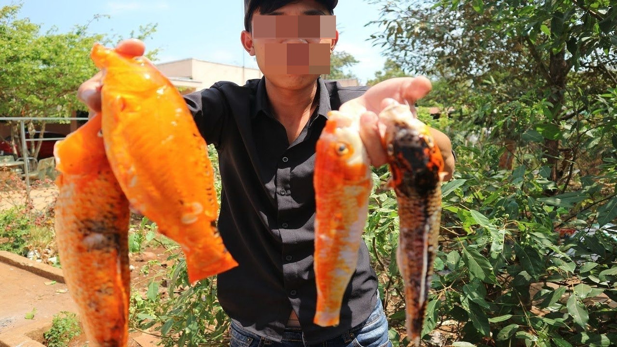Hình ảnh thanh niên từng làm thịt cá Koi để ăn từng khiến dân mạng bàn tán xôn xao.