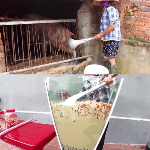 Đã 2 năm kể từ ngày nổi đình đám khắp mạng xã hội, tuy lượt view mang về hiện tại không cao như ban đầu nhưng doanh thu của bà Tân vlog vẫn tăng trưởng đều.