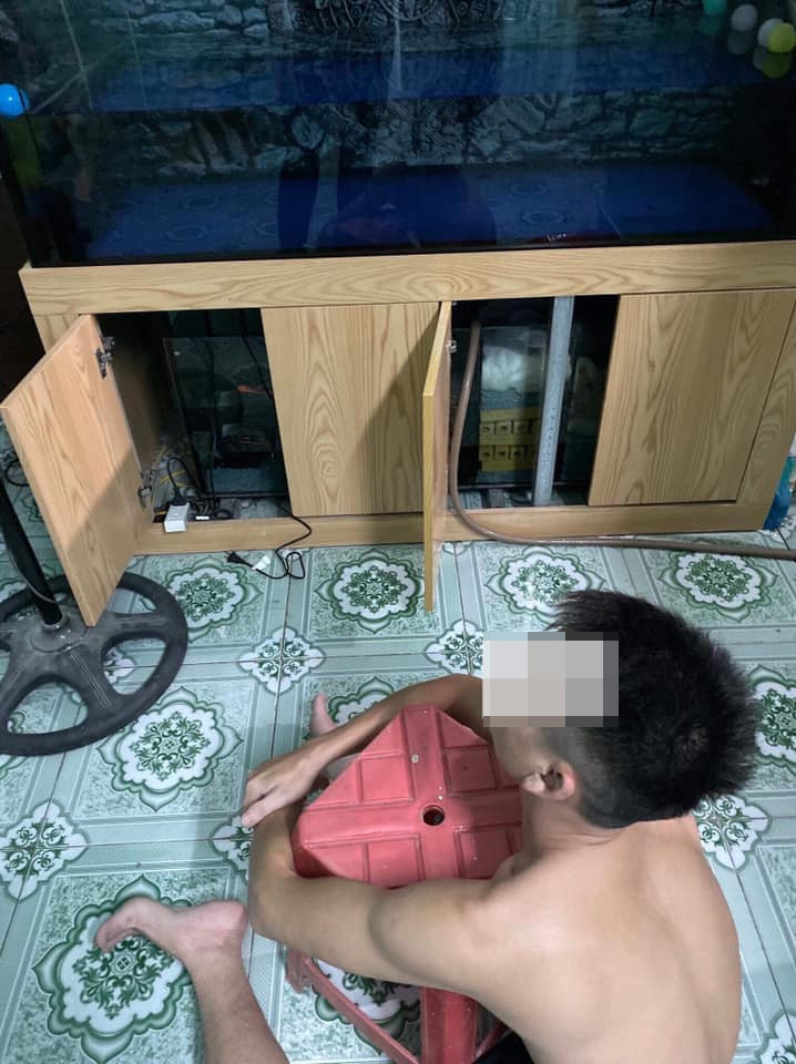 Tuy nhiên, cũng vì sở thích đam mê cá cảnh của các ông chồng, bị vợ nắm thóp điểm yếu, chỉ cần lệch nhịp là sẽ "ăn hành" ngay.