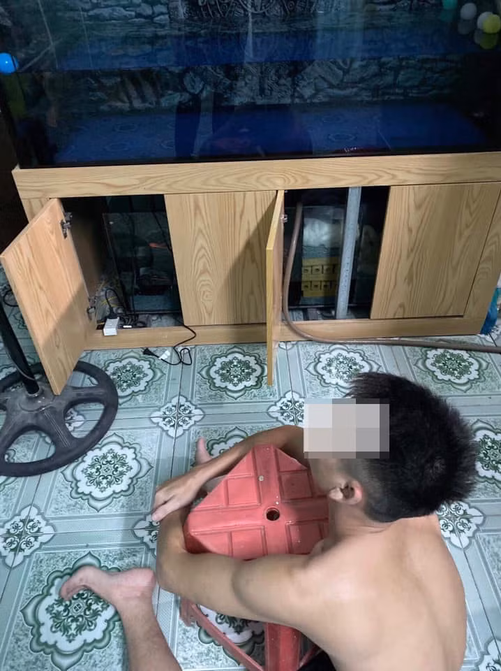 Tuy nhiên, cũng vì sở thích đam mê cá cảnh của các ông chồng, bị vợ nắm thóp điểm yếu, chỉ cần lệch nhịp là sẽ "ăn hành" ngay.