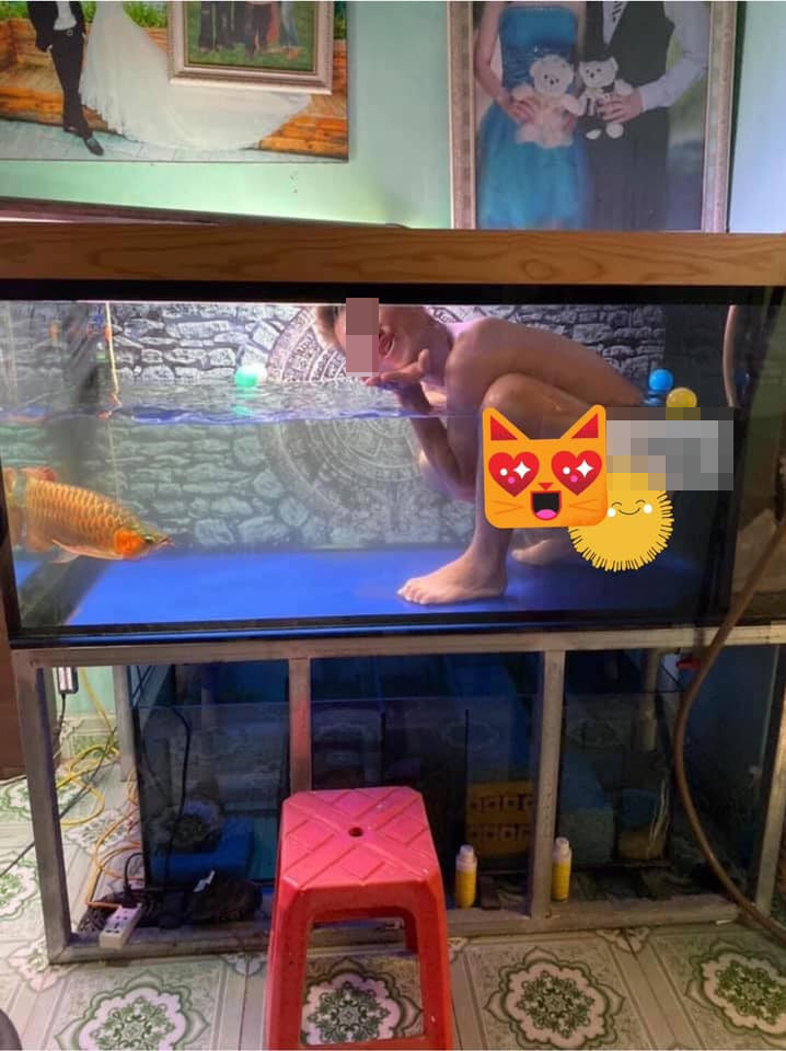 "Nhìn như aquaman. Tôi cười sặc mất thôi, không biết mấy con cá có tự hỏi ông này bị gì không", "Giống kiểu mấy bạn nam hay chụp ảnh nghệ thuật dưới nước, nhưng đây là 1 phiên bản đã có vợ" hay "Giống cảnh tiên cá trong trọn đời bên em. Đúng là một cảnh giới mới của dân chơi cá mà" là những bình luận của dân mạng.