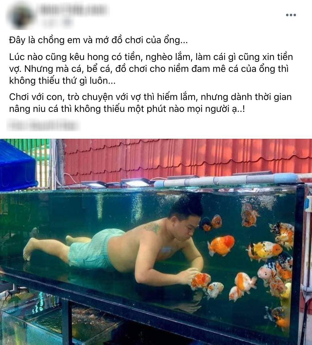 Với nhiều ông chồng, thú vui chơi cá cảnh đã không còn xa lạ. Đây được xem như một đam mê khó bỏ, thậm chí còn nâng cá hơn cả nâng vợ khiến nhiều chị em phụ nữ "ghen tị" ra mặt.