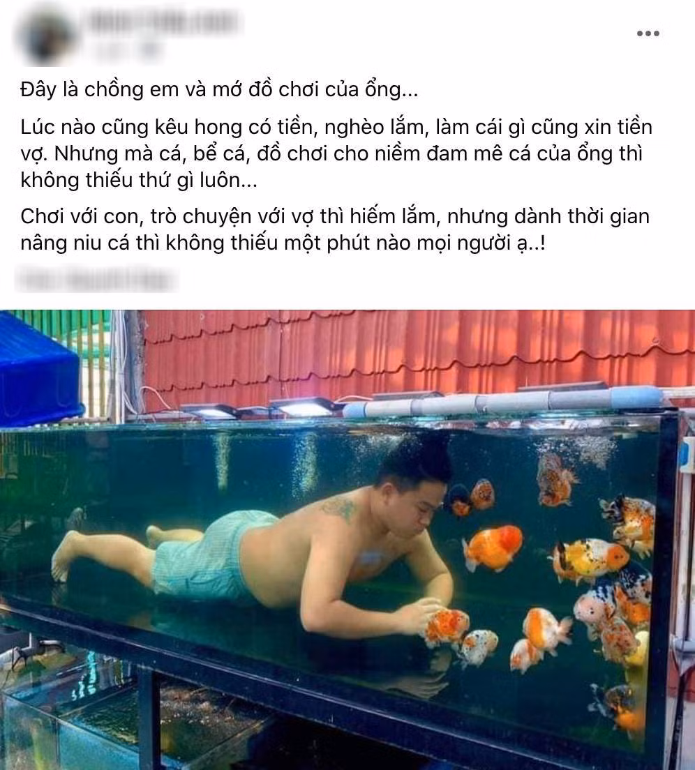 Với nhiều ông chồng, thú vui chơi cá cảnh đã không còn xa lạ. Đây được xem như một đam mê khó bỏ, thậm chí còn nâng cá hơn cả nâng vợ khiến nhiều chị em phụ nữ "ghen tị" ra mặt.