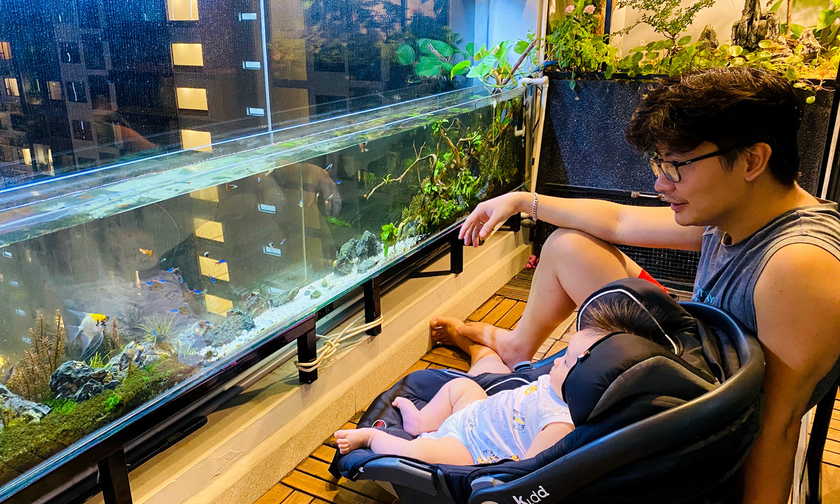 Nhiều người lên tiếng cho rằng anh đã đạt tới cảnh giới mới của những người đam mê chơi cá khi sẵn sàng hoá thân thành Aquaman bơi cùng "đám con cưng".