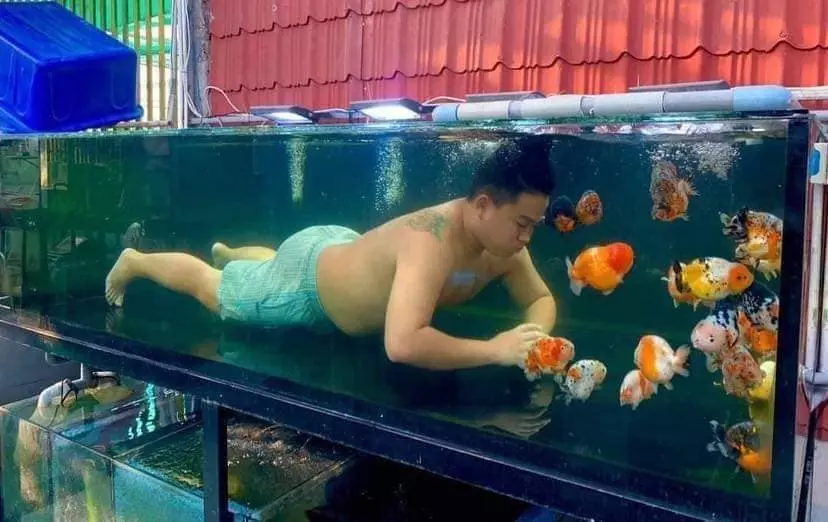 Trong những hình ảnh được đăng tải, người đàn ông không chỉ vui chơi đơn thuần với "thú cưng" mới sắm mà còn chẳng ngần ngại nhảy vào bơi cùng các em.