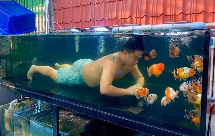 Trong những hình ảnh được đăng tải, người đàn ông không chỉ vui chơi đơn thuần với "thú cưng" mới sắm mà còn chẳng ngần ngại nhảy vào bơi cùng các em.