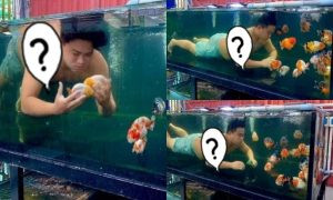 Đính kèm loạt hình ảnh, chị vợ ngao ngán bóc phốt chồng: "Đây là chồng em và mớ đồ chơi của ổng... Lúc nào cũng kêu không có tiền, nghèo lắm, làm cái gì cũng xin tiền vợ. Nhưng mà cá, bể cá, đồ chơi cho niềm đam mê cá của ổng thì không thiếu thứ gì luôn... Chơi với con, trò chuyện với vợ thì hiếm lắm, nhưng dành thời gian nâng niu cá thì không thiếu một phút nào mọi người ạ..!"