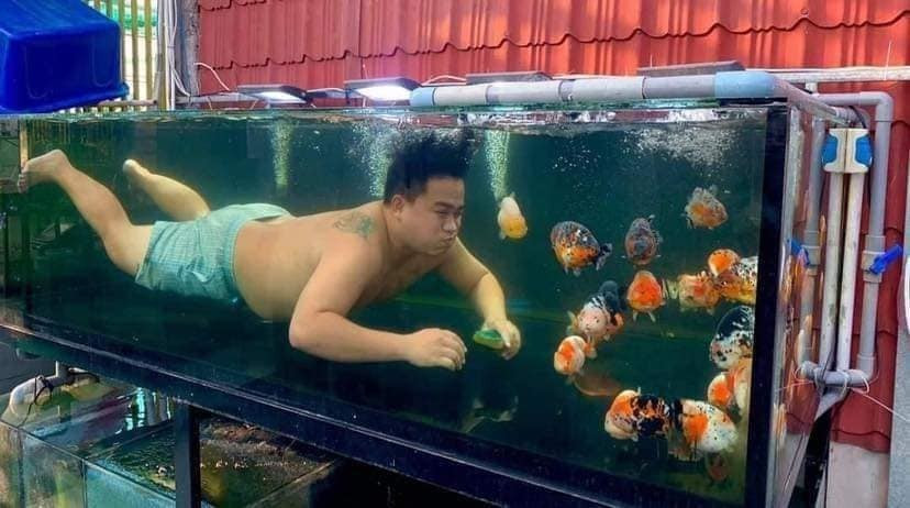 Theo đó, chị vợ có tên Q.D đã phải bất lực lên tâm sự với cộng đồng mạng về thú vui tưởng như tao nhã nhưng giờ lại "biến chất" tới mức quá đà của chồng.