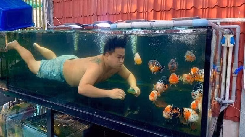 Theo đó, chị vợ có tên Q.D đã phải bất lực lên tâm sự với cộng đồng mạng về thú vui tưởng như tao nhã nhưng giờ lại "biến chất" tới mức quá đà của chồng.