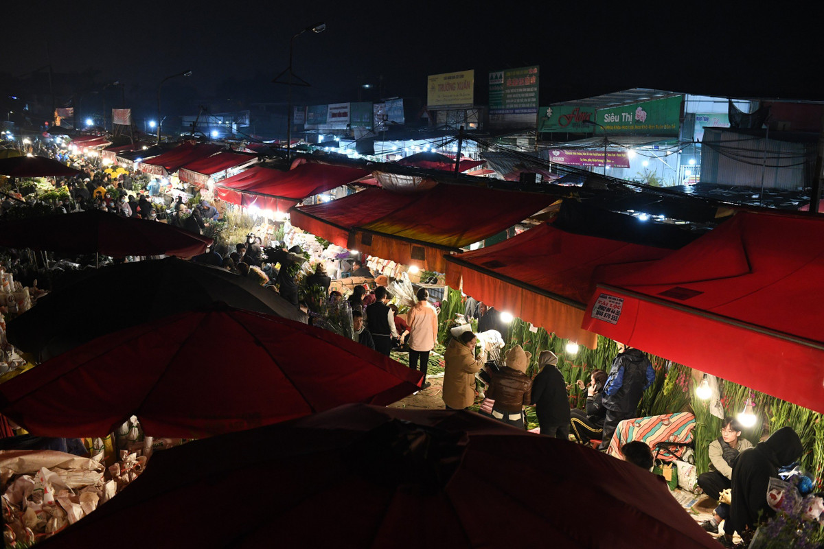 Hầu hết hoa ly được cắt tại các làng hoa như: Tây Tựu (phường Tây Tựu, quận Bắc Từ Liêm), huyện Mê Linh, huyện Đan Phượng…