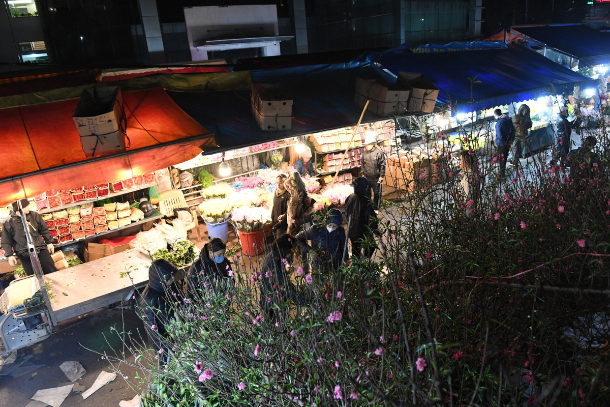 Theo tìm hiểu, giá thành những ngày cận Tết cũng không có nhiều thay đổi. Chỉ có một số loại hoa tăng giá như hoa ly những ngày này đã tăng gấp 2-3 lần so với ngày thường...