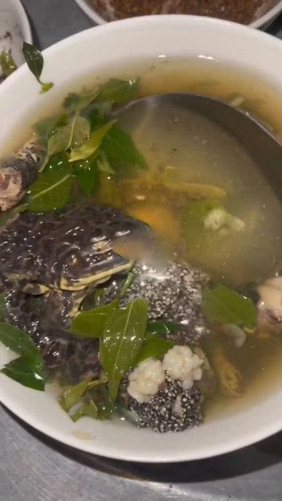 Thay vì chặt nhỏ thịt ếch và chế biến kỹ lưỡng để món ăn trông bắt mắt thì cô gái lại chặt đôi con ếch rồi nấu canh.