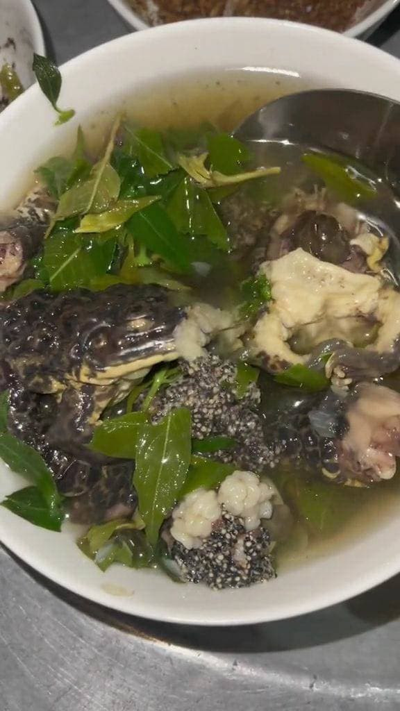Nhín món ăn này, nhiều cư dân mạng bình luận: "Không biết mở nồi canh ra con ếch nó có nhảy lên đầu mẹ chồng không", "Bưng tô canh ra mà con ếch nhảy cái tẹt xuống sàn nhà chắc xỉu ngang", "Nó có nhảy ra khỏi nồi không", "Canh này ăn vào rồi lấy trống gõ có nhảy lò cò không ta", "Thấy ếch là muốn xỉu ngang rồi"...