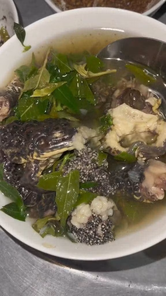 Nhín món ăn này, nhiều cư dân mạng bình luận: "Không biết mở nồi canh ra con ếch nó có nhảy lên đầu mẹ chồng không", "Bưng tô canh ra mà con ếch nhảy cái tẹt xuống sàn nhà chắc xỉu ngang", "Nó có nhảy ra khỏi nồi không", "Canh này ăn vào rồi lấy trống gõ có nhảy lò cò không ta", "Thấy ếch là muốn xỉu ngang rồi"...