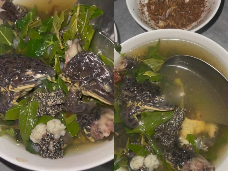 Dưới bài viết không ít những bình luận cho rằng, nếu không biết làm cô gái nên nấu món gì đơn giản hay thừa nhận việc bếp núc kém thay vì cố gắng để rồi nhận... cái kết như này.